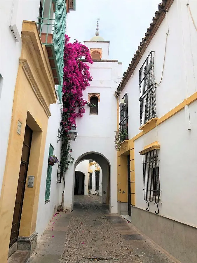 Entre 2 Mezquitas Apartamento 8 Córdoba